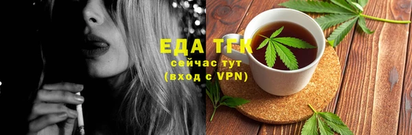 индика Горно-Алтайск