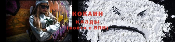 индика Горно-Алтайск