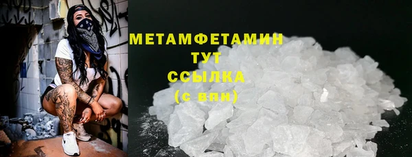 гидра Горняк