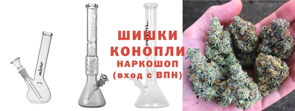 PSILOCYBIN Горнозаводск