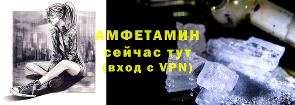 индика Горно-Алтайск