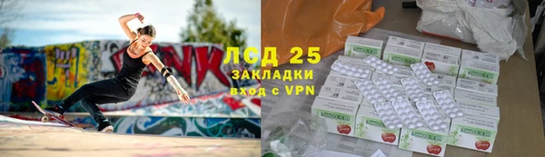 PSILOCYBIN Горнозаводск