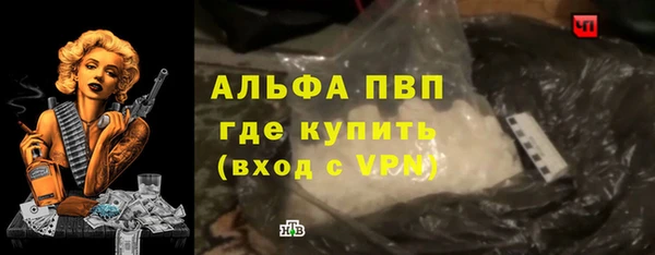 гидра Горняк