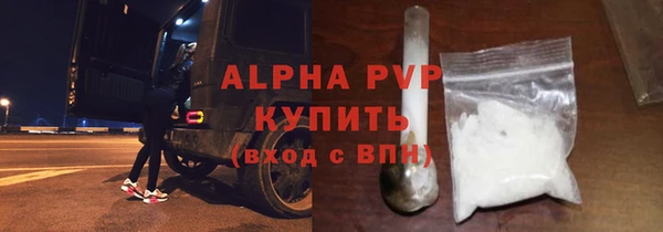 гидра Горняк