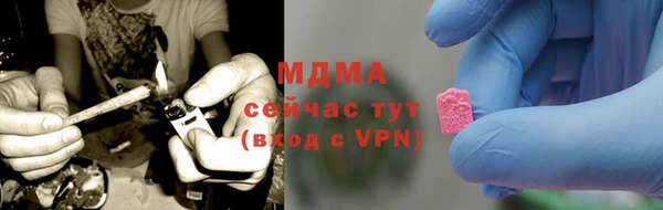 гидра Горняк