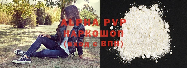 индика Горно-Алтайск