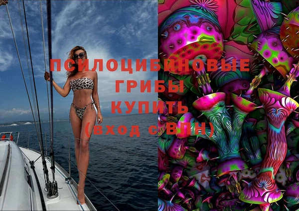 индика Горно-Алтайск