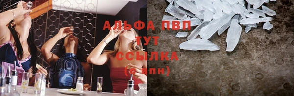 PSILOCYBIN Горнозаводск