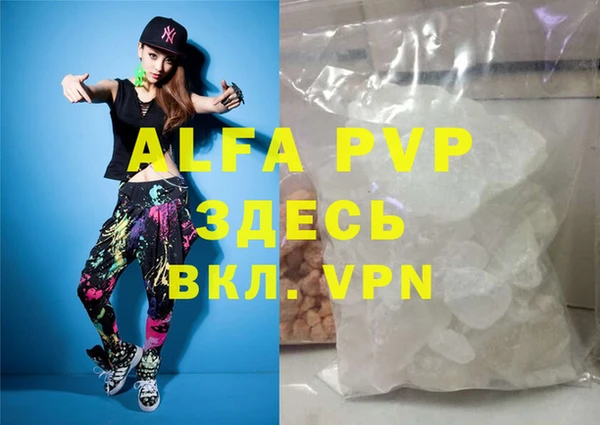 индика Горно-Алтайск